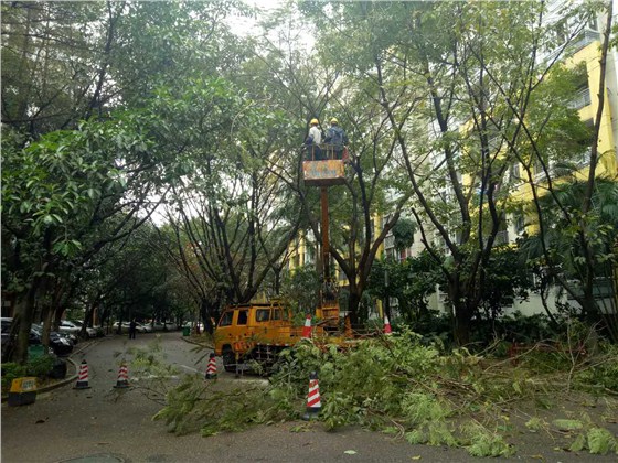 綠化修剪 綠化修剪